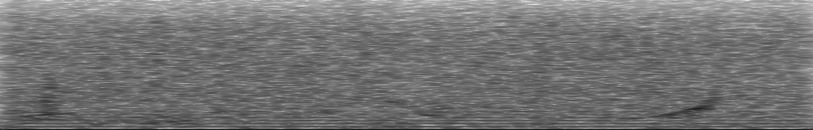 [Loading Spectrogram]