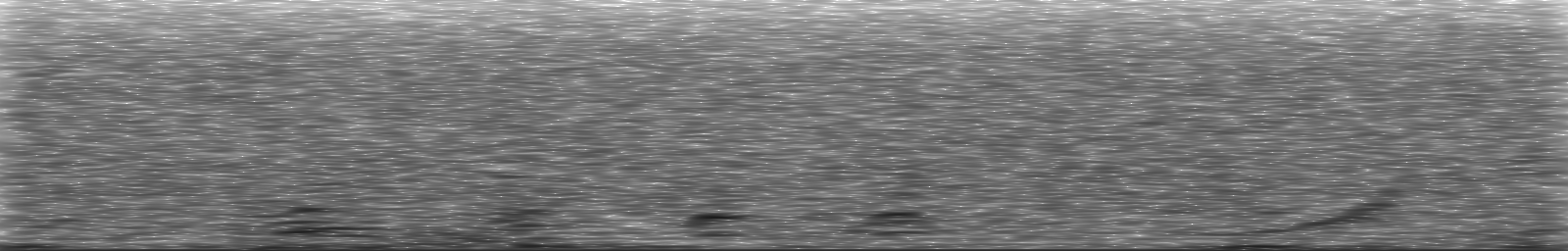 [Loading Spectrogram]