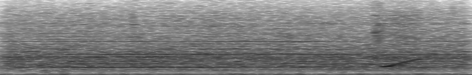 [Loading Spectrogram]