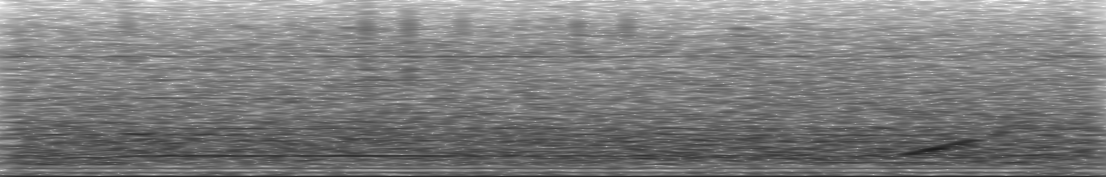 [Loading Spectrogram]