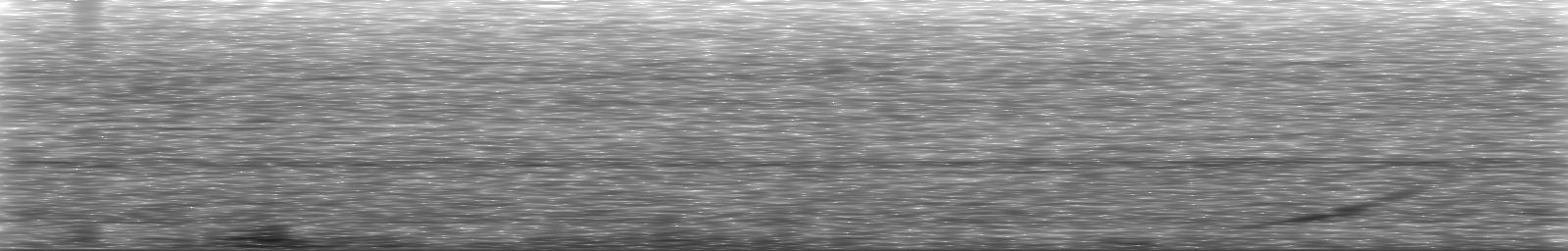 [Loading Spectrogram]