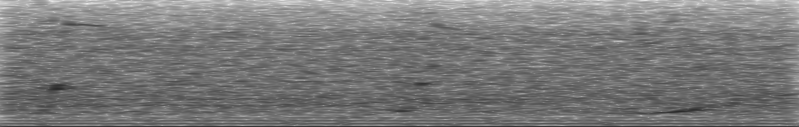 [Loading Spectrogram]