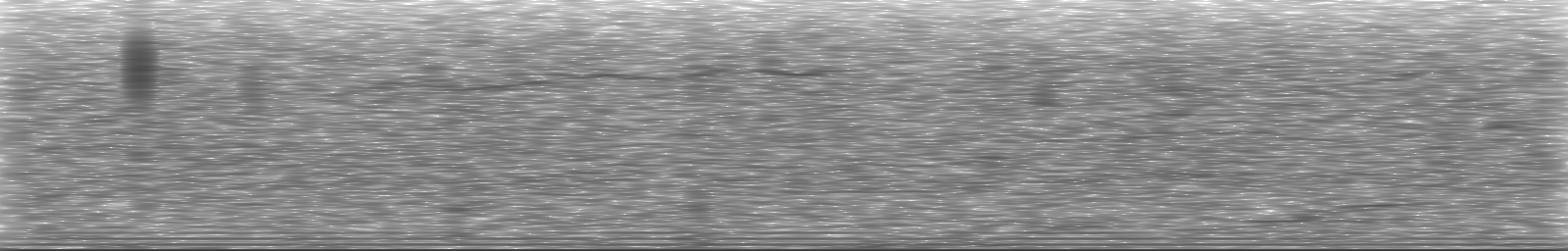 [Loading Spectrogram]