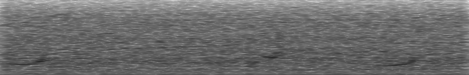 [Loading Spectrogram]