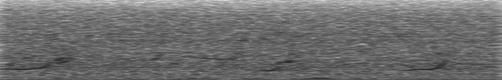 [Loading Spectrogram]