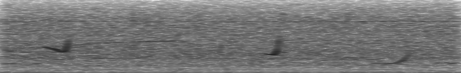 [Loading Spectrogram]
