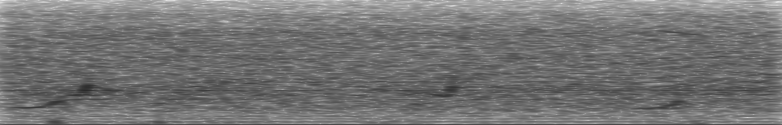 [Loading Spectrogram]