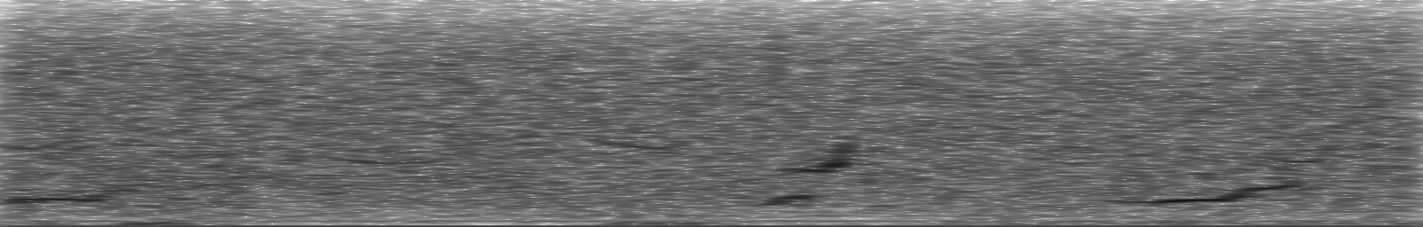 [Loading Spectrogram]