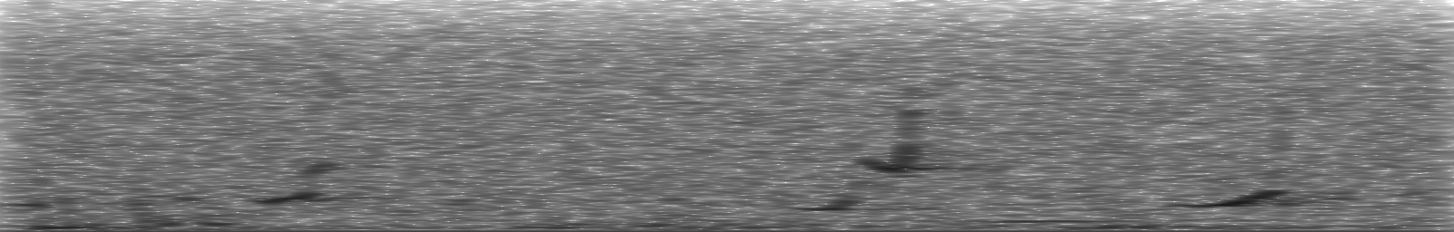 [Loading Spectrogram]