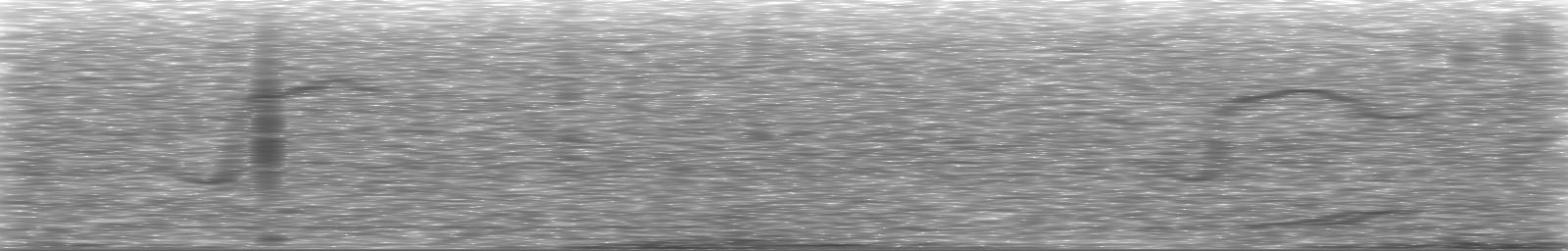 [Loading Spectrogram]