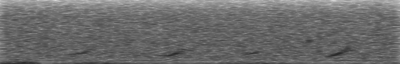 [Loading Spectrogram]