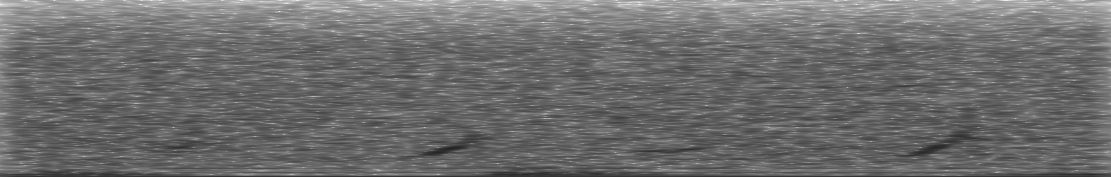 [Loading Spectrogram]