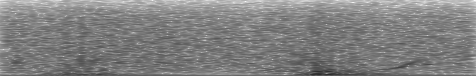 [Loading Spectrogram]