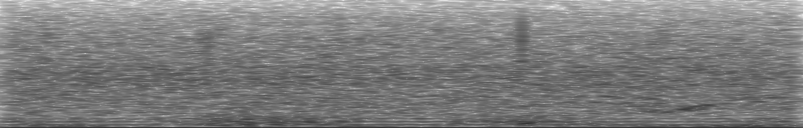[Loading Spectrogram]