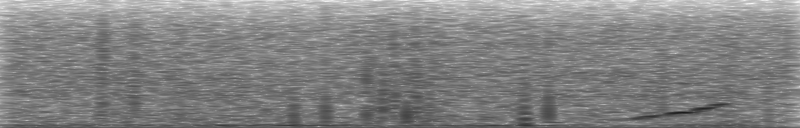 [Loading Spectrogram]