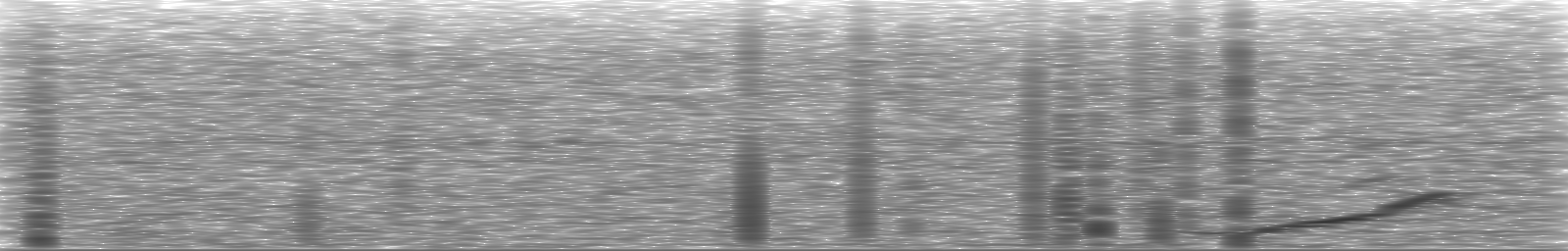 [Loading Spectrogram]