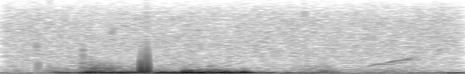 [Loading Spectrogram]