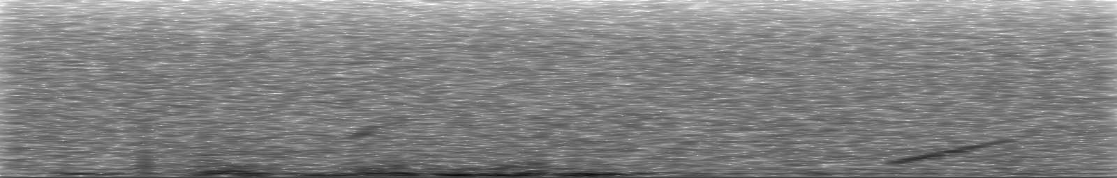 [Loading Spectrogram]