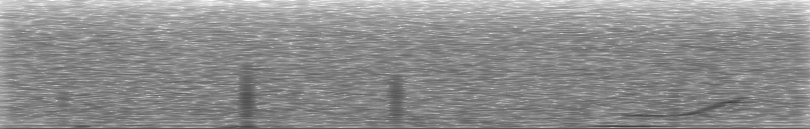 [Loading Spectrogram]