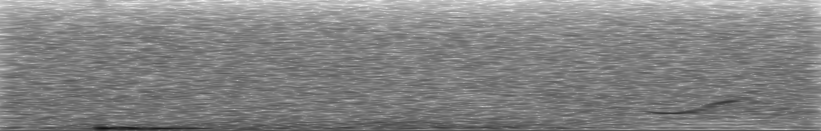 [Loading Spectrogram]