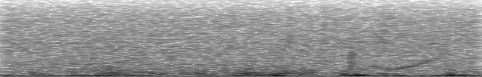 [Loading Spectrogram]