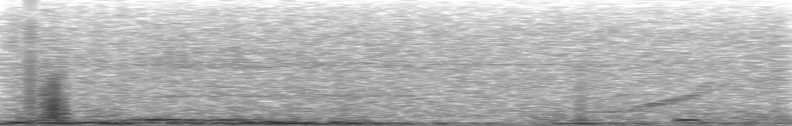 [Loading Spectrogram]