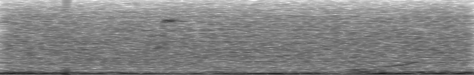 [Loading Spectrogram]