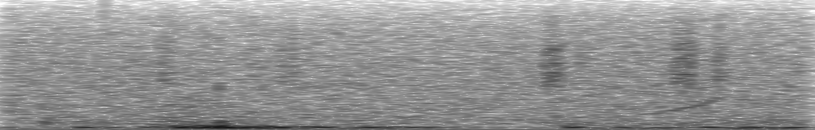[Loading Spectrogram]