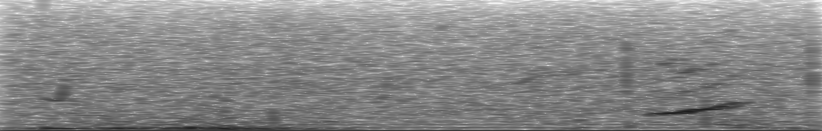 [Loading Spectrogram]