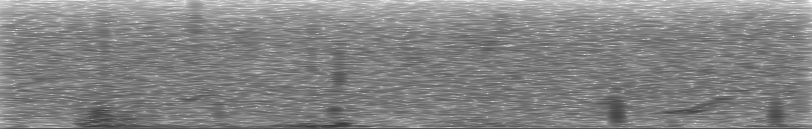 [Loading Spectrogram]