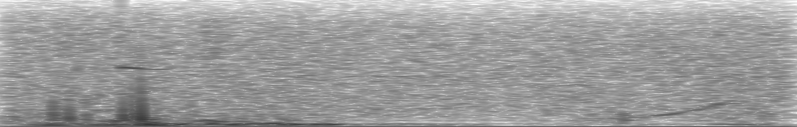 [Loading Spectrogram]