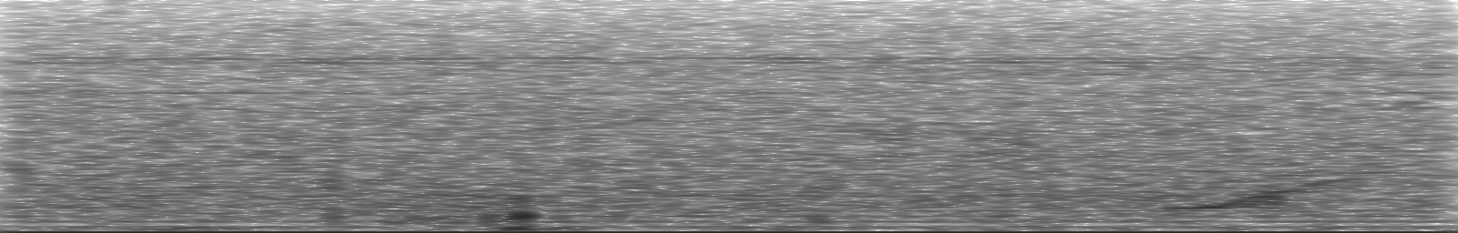 [Loading Spectrogram]