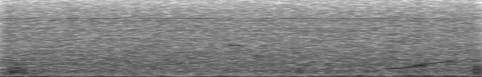 [Loading Spectrogram]
