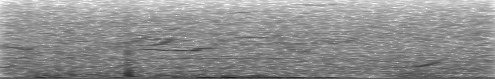 [Loading Spectrogram]