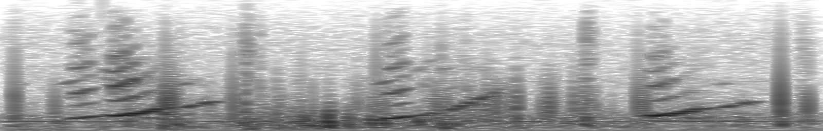 [Loading Spectrogram]