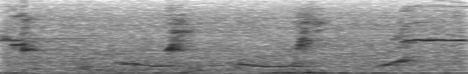 [Loading Spectrogram]
