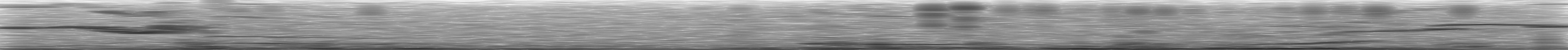 [Loading Spectrogram]