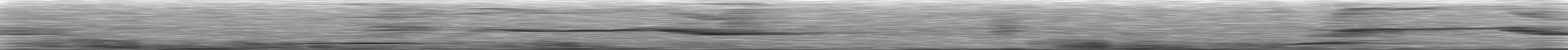 [Loading Spectrogram]