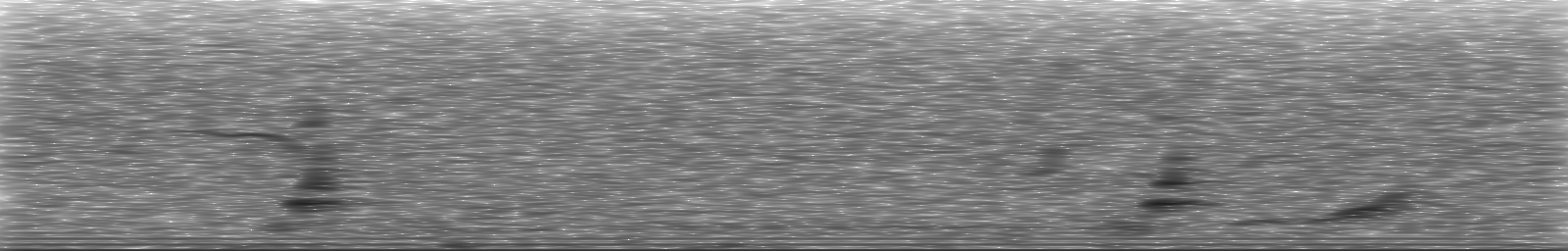 [Loading Spectrogram]