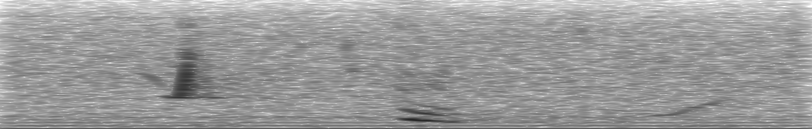 [Loading Spectrogram]