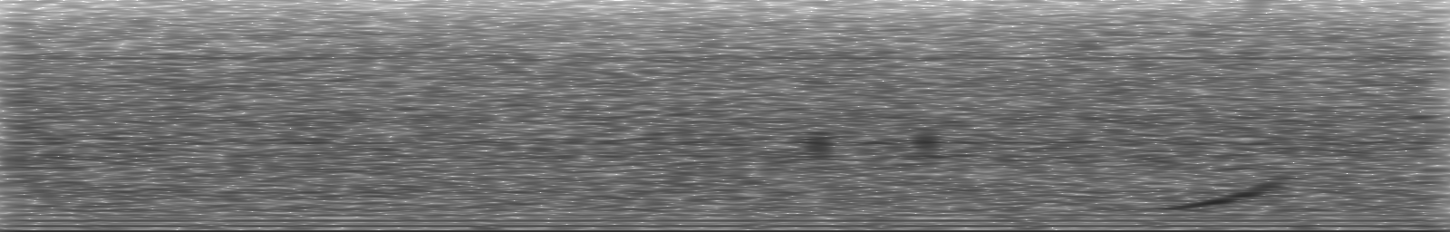 [Loading Spectrogram]