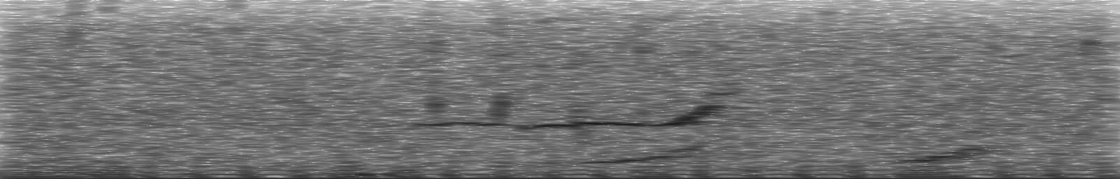 [Loading Spectrogram]