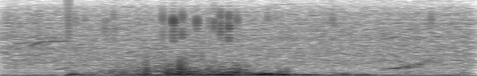 [Loading Spectrogram]