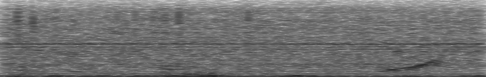 [Loading Spectrogram]