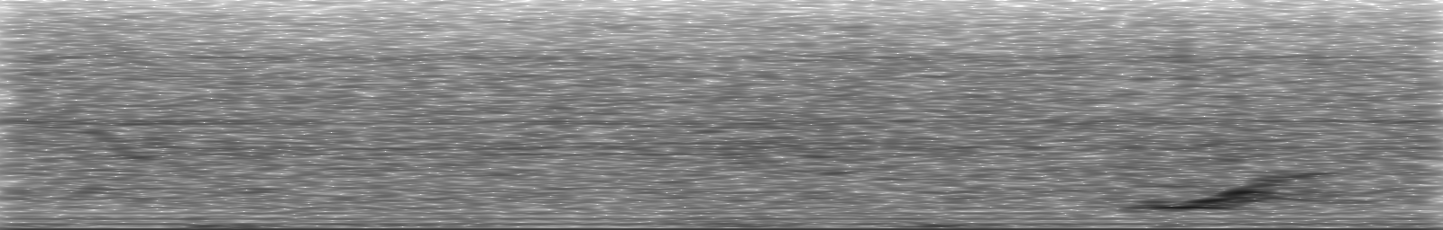 [Loading Spectrogram]
