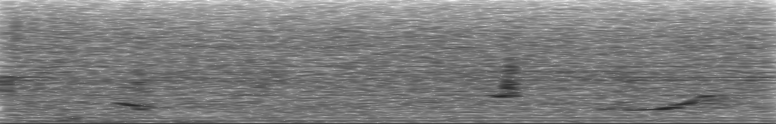 [Loading Spectrogram]