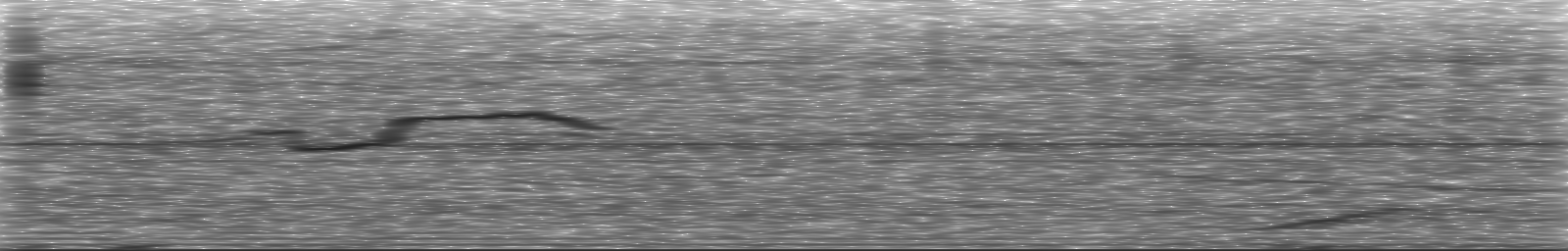 [Loading Spectrogram]