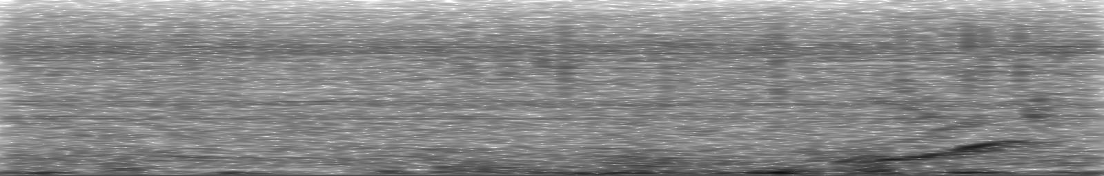[Loading Spectrogram]