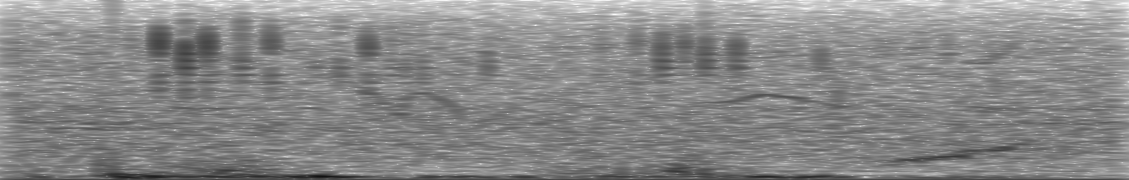 [Loading Spectrogram]