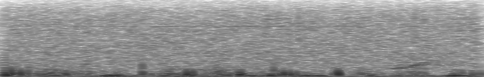 [Loading Spectrogram]